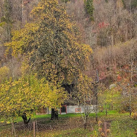 Casa vacanze Beautiful In With Harbor View