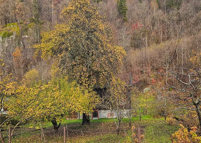 Hébergement de vacances Beautiful In With Harbor View